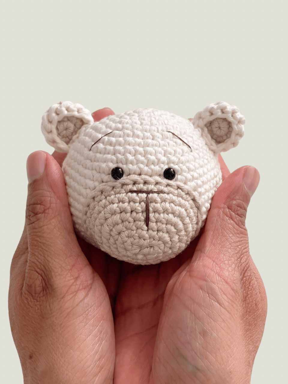 yaya box osito tommy